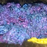 Hand-knit floral headband 4